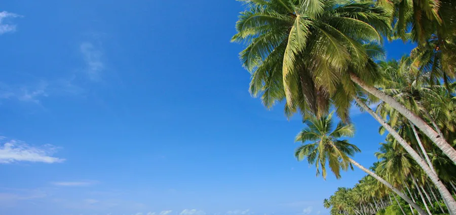 5. Adults Only! Eastern Caribbean & Bimini Beach Club With Miami Stay