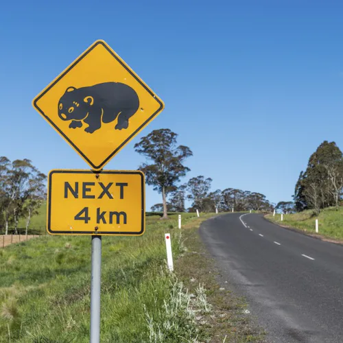 New-Zealand-Australasia