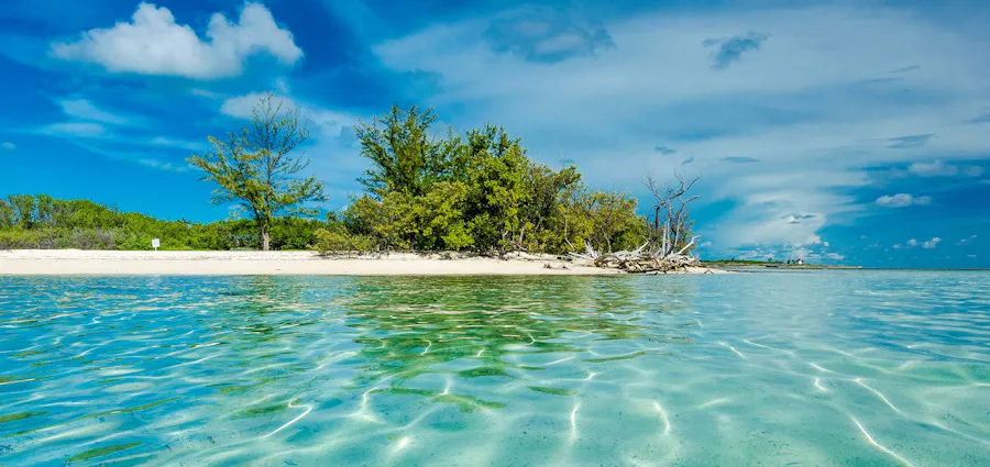 6. Adults Only! Caribbean & Bimini Club with Miami Stay
