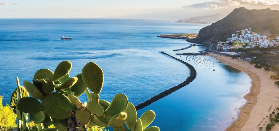 1. Canary Island Gems