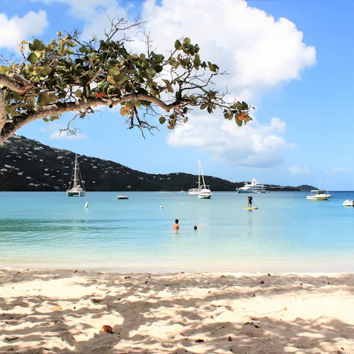 Discover a variety of distinct islands