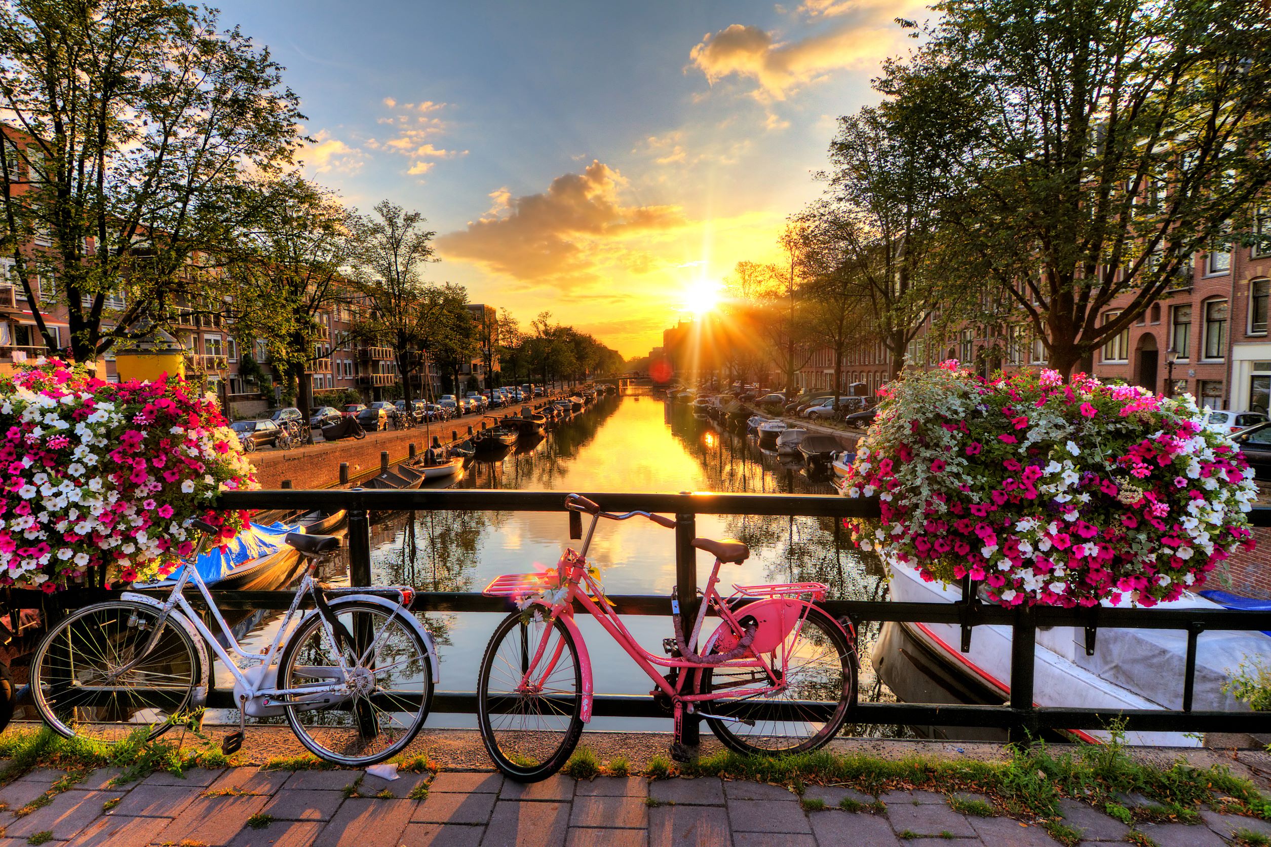 Netherlands Cruise Deals 2023 2024 Seascanner Co Uk   4905aed5 C4f7 4948 B737 B7a7af38856b Amsterdam The Netherlands 