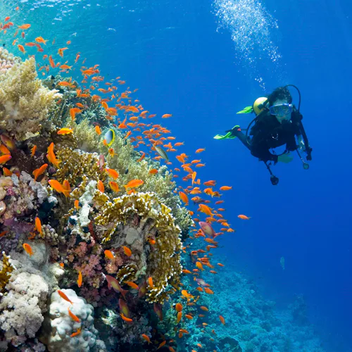 Good For Action Packed Itineraries