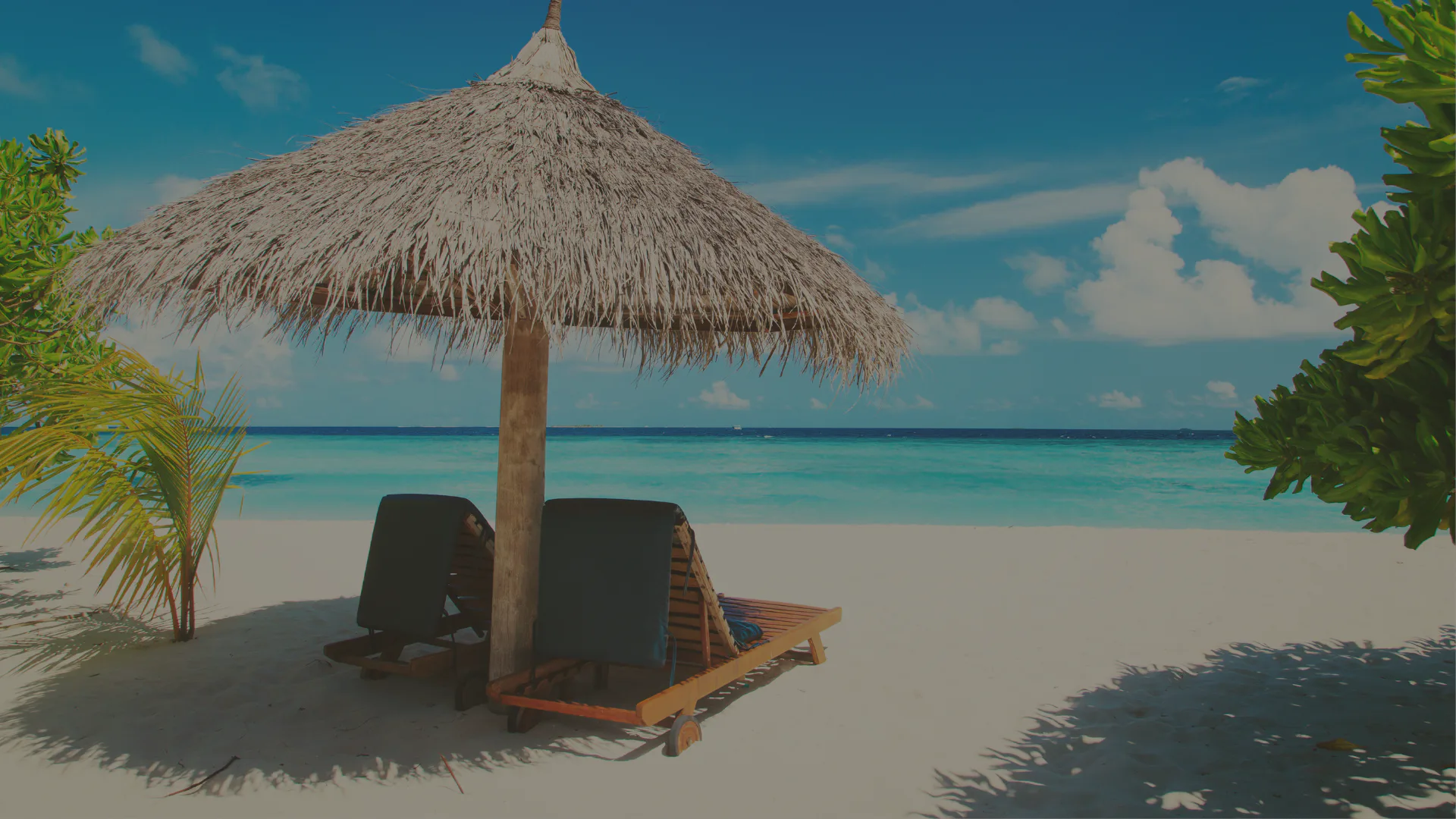 Summer Beach