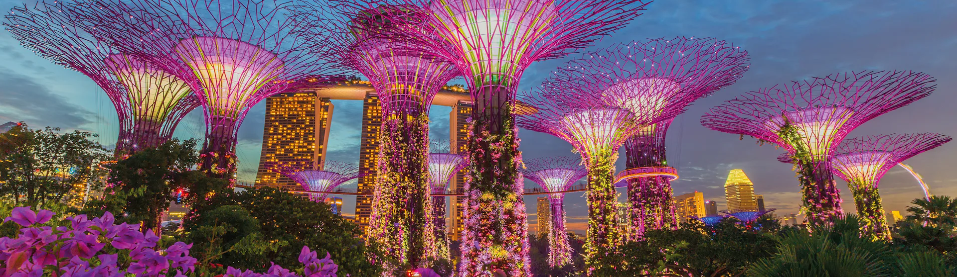Gardens by the Bay - Singapore