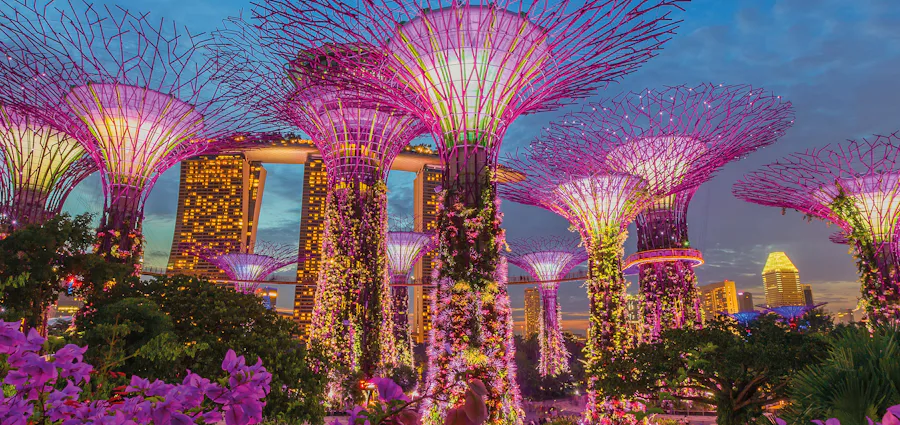 Gardens by the Bay - Singapore