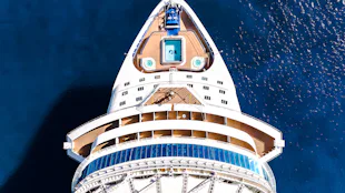 Star Princess at sea