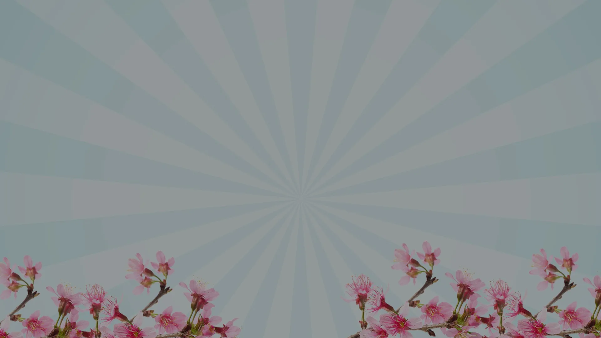 Spring Clearance Banner