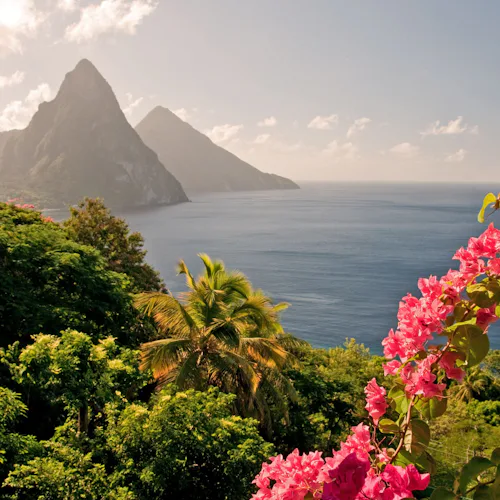 Explore lush rainforests & hidden coves